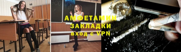 крисы Горняк