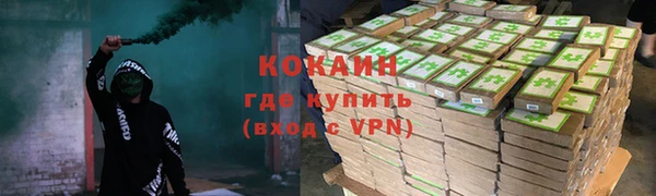крисы Горняк