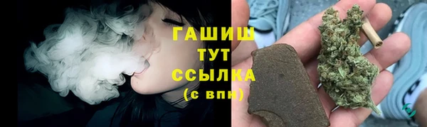 крисы Горняк