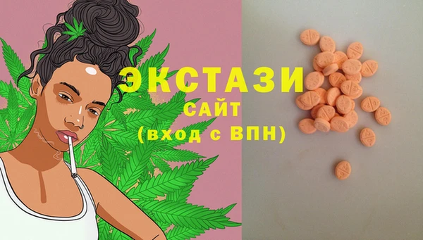 крисы Горняк