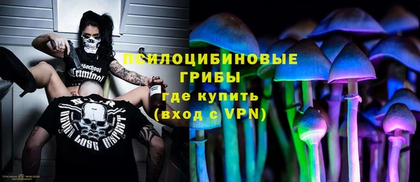 твердый Горнозаводск