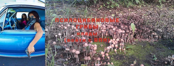 хмурый Вязники
