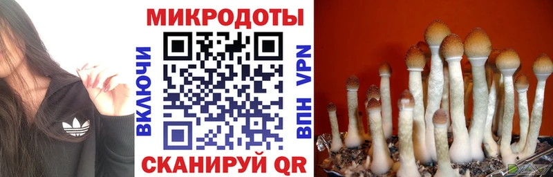 Купить  Новая Ляля  Псилоцибиновые грибы Psilocybine cubensis 